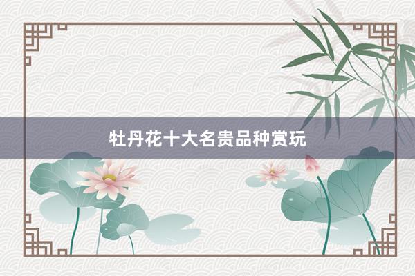 牡丹花十大名贵品种赏玩